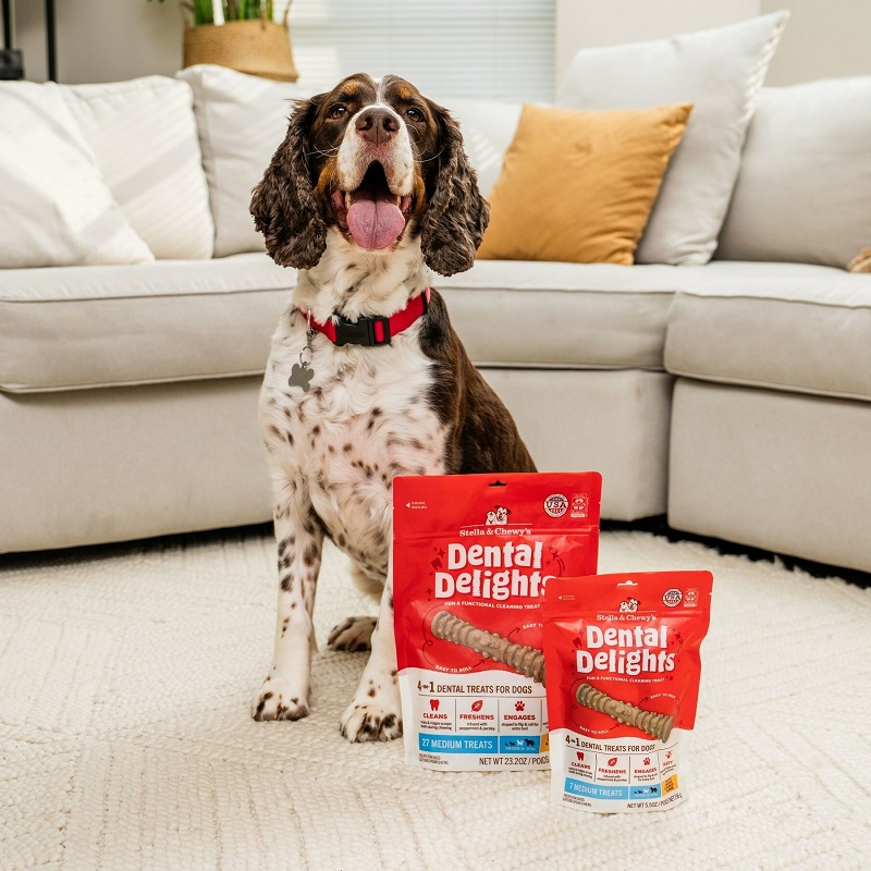 A dog with Stella & Chewy's Dental Delights dog biscuits.